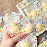 Chicken & Duck Squishy Keychain (Assorted Series)